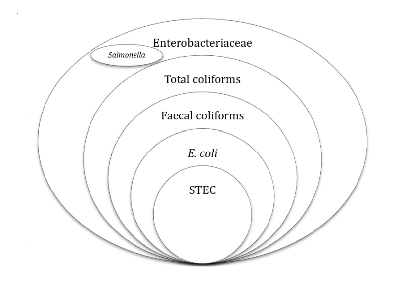 Microbiological Analysis Key Considerations Institute Of Food